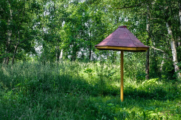 A small stationary shelter from the rain in the form of an umbrella for tourists, stands in the forest among tall green grass.