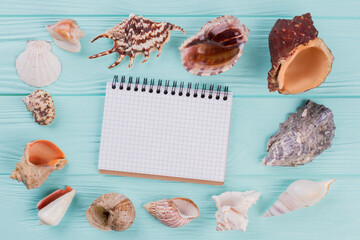 Top view of set of different sea shells and notepad in the centre of composition on turquoise background. Blank note pad.