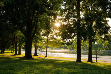 Constitution Gardens on the National Mall Sun Flare