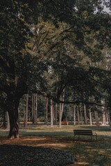 Park, which is located on Margaret Island in Budapest, Hungary.