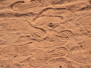 tracks in the sand