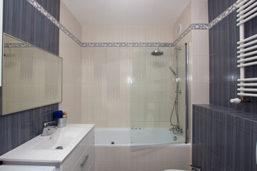 Moder luxury bathroom