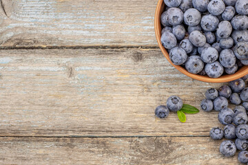 Concept for healthy eating and nutrition.  Juicy and fresh blueberries with green leaves on blue wooden table. Blueberry on wooden background. Blueberry antioxidant.