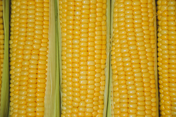 Corn background. Fresh organic farm market product. Sweetcorn cobs. Healthy food. Summer harvest.