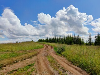 country road in a field near green trees against a blue sky with beautiful clouds on a sunny day