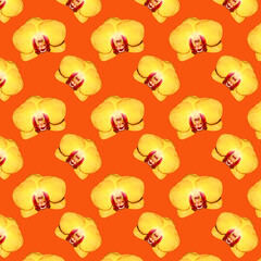 Seamless pattern of yellow Orchid flowers. Flowers for the background. Flowers on an orange background.