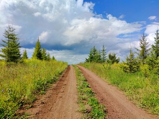 road to a hill among green grass and young pines against a cloudy sky on a sunny day