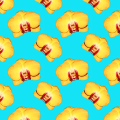 Seamless pattern of yellow Orchid flowers. Flowers for the background. Flowers on a blue background.