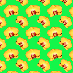 Seamless pattern of yellow Orchid flowers. Flowers for the background. Flowers on a green background.