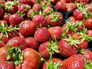 strawberries in a basket