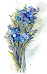 blue flowers. Forget-me-nots. Wildflowers
