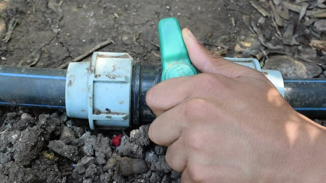 little hand holding and open   water faucet