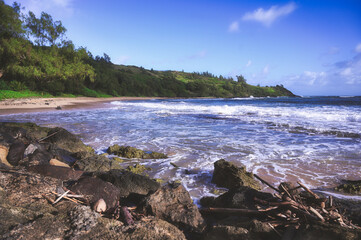 Fototapeta na wymiar A beach on Kauai, Hawaii