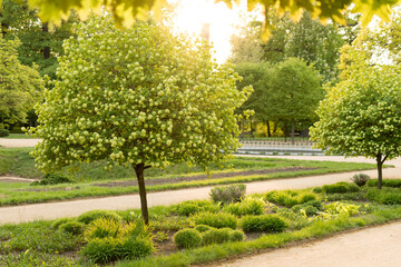 Obraz premium Park Michalov in spring. Main colonnade. Prerov city, Moravia, Czech republic.