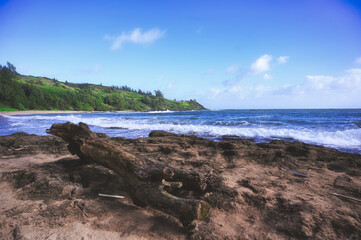 A beach on Kauai, Hawaii