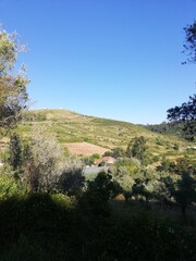 Field and mountain