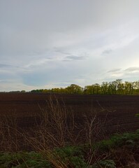 agricultural field in rural countryside at spring