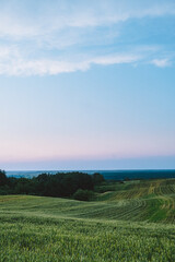 Obraz premium green field and blue sky before sunset