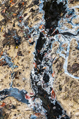 Water Pollution on a Muddy Beach