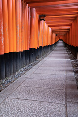 伏見稲荷大社 千本鳥居 -全国に約3万社ある稲荷神社の総本宮-