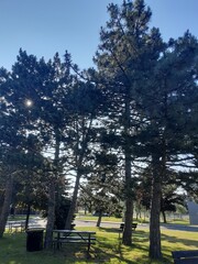 park in the morning