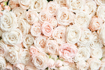 Fototapeta na wymiar Floral carpet or Wallpaper. Background of mix of flowers. Beautiful flowers for catalog or online store. Floral shop and delivery concept. Top view. Copy space