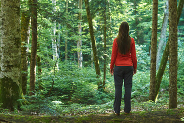 Woman stands in a confireous forest without a road. Lost in the woods.