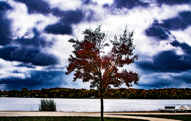 Winter morning  at the park