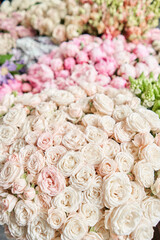Floral carpet or Wallpaper. Background of mix of flowers. Beautiful flowers for catalog or online store. Floral shop and delivery concept. Top view. Copy space