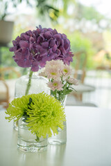 Hydrangea, Gerbera, Marigold, arranged in a glass vase. Placed in the room to add freshness.