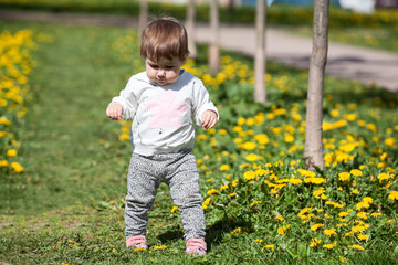 Toddler girl walks on green pathway between yellow flowers, balancing with her hands