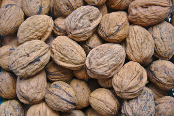 Dried nuts with shell in background