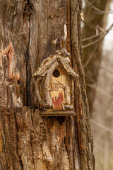 Bird House on a Tree