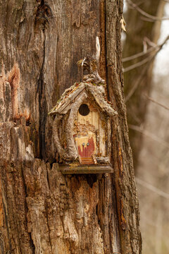 Bird House on a Tree