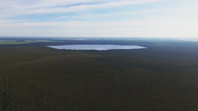 Lake In A Swampy Forest Area Surrounded By Trees. Aerial Slow Dolly-In 60fps Shot