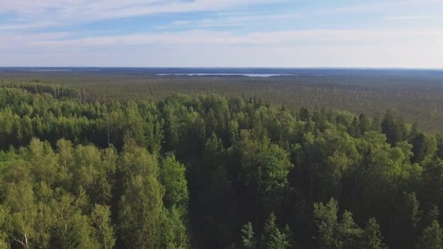 Alys Lake In A Swampy Alioniai Telmological Reserve. 4K Aerial Dolly-In Shot