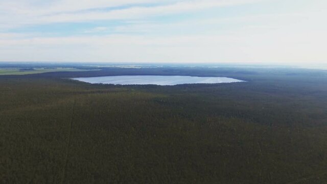 Lake In A Swampy Area Surrounded By Trees. 4K Aerial Fast Dolly-Out Shot 60fps