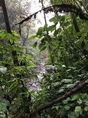 Chutes d'eau Costa Rica
