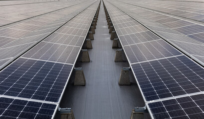 Solar photovoltaic modules during sunset and after rain in power plant, Netherlands