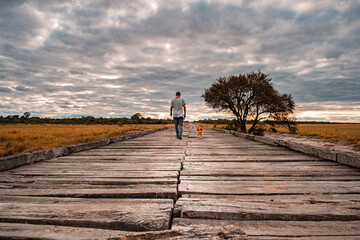 Man and dog walked on a bridge