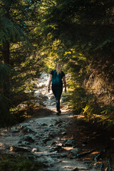 Fototapeta premium A girl exploring moody forest nature. Outdoor hiking in the mountains with mystic trekking pathes. Harz Mountains, Harz National Park in Germany.
