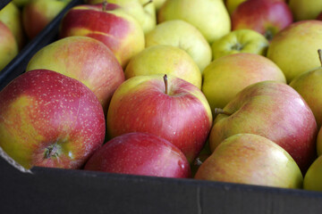 many apples in a black box as background