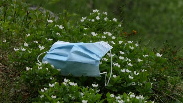 Discarded used disposable the medical mask is lying on a hummock with white small flowers.