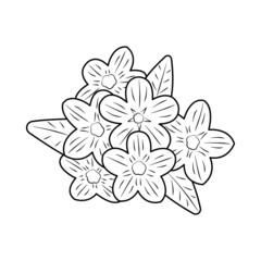 flower summer design decorative graphic decor