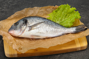 Raw Dorada fish  for cooking