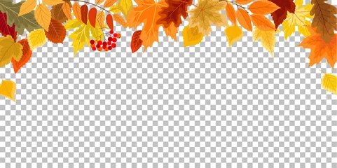 Foto op Canvas autumn  leaves © milavas