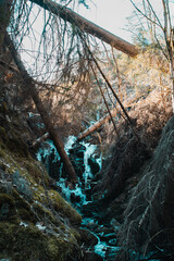 Mystic and dark nature scene of a idyllic mountain river in the forest with moody nature vibes and small waterfalls. Harz Mountains, Harz National Park in 