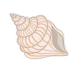 Textured vector illustration of an isolated peach seashell.