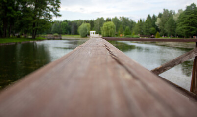 Old wooden board close-up. In the background a blurred lake and park.