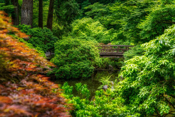Obraz premium Japanese Maple and Bridge at the Portland Japanese Garden